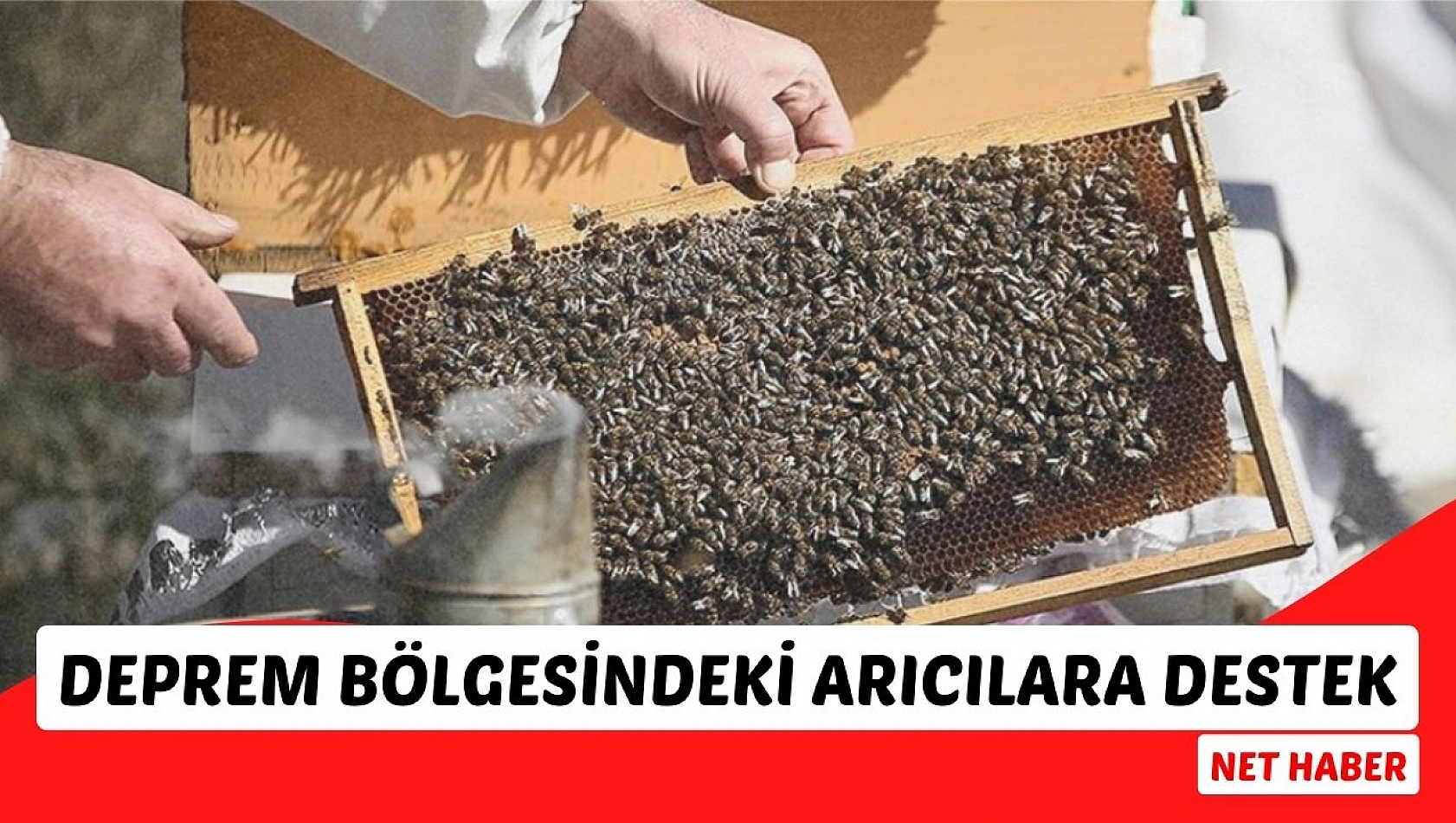 Deprem bölgesindeki arıcılara destek