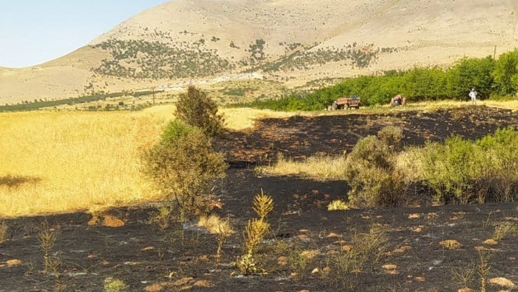 Malatya'da yangın paniği!