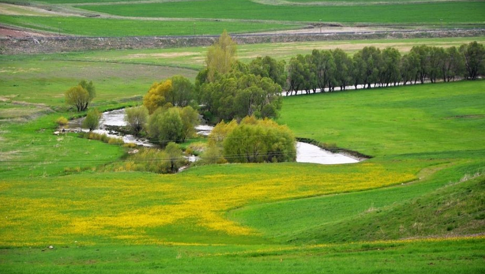 DAP Bölgesinde Yer Alıyor! Sivas'tan Iğdır'a, Malatya'dan Kars'a...