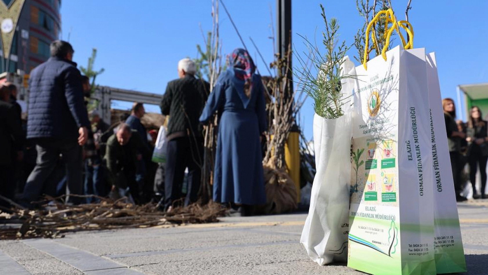 Elazığ'da 23 Bin Ücretsiz Fidan Dağıtıldı