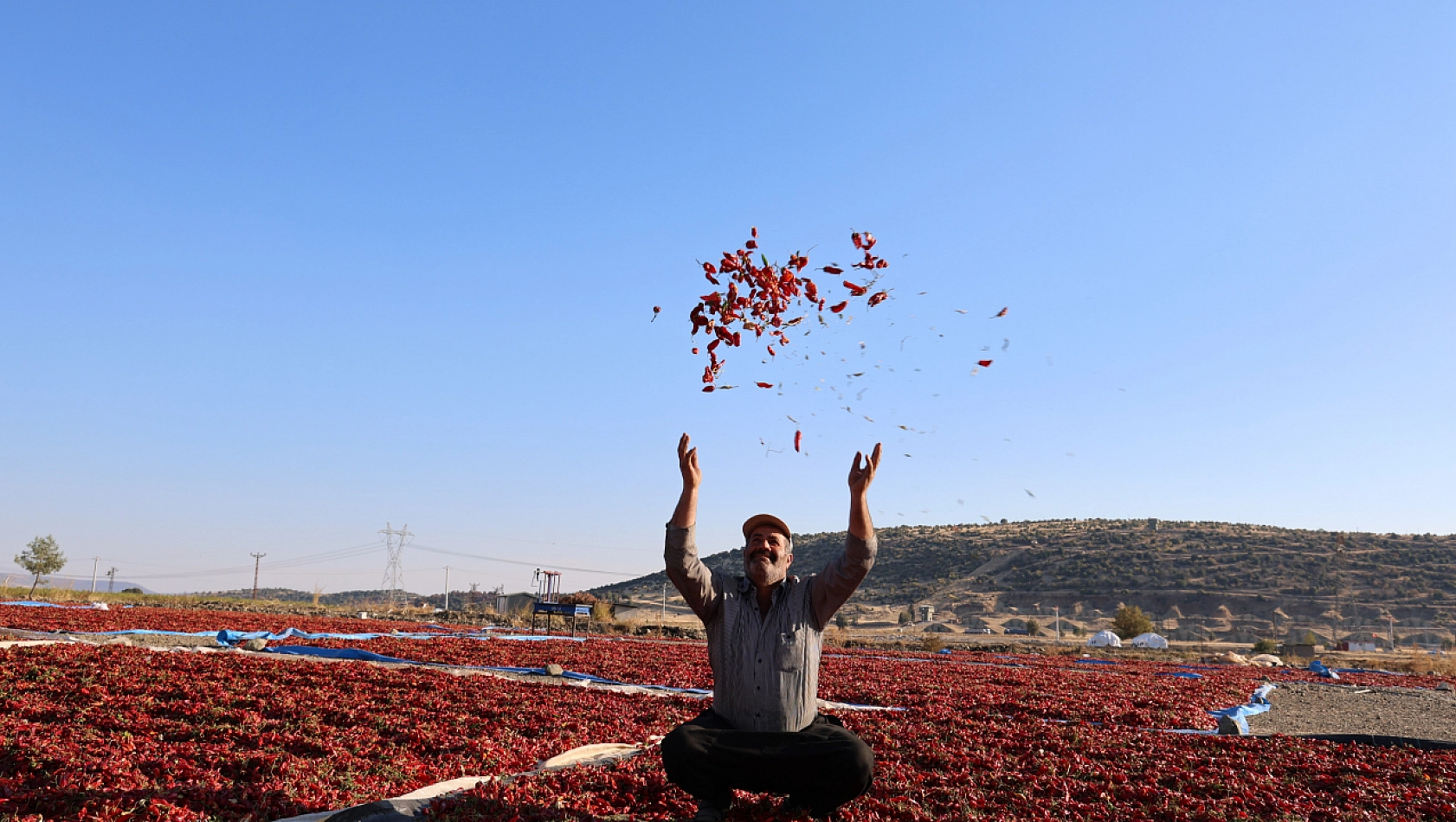 En acı hasat: Maraş biberinde üretim 50 bin ton