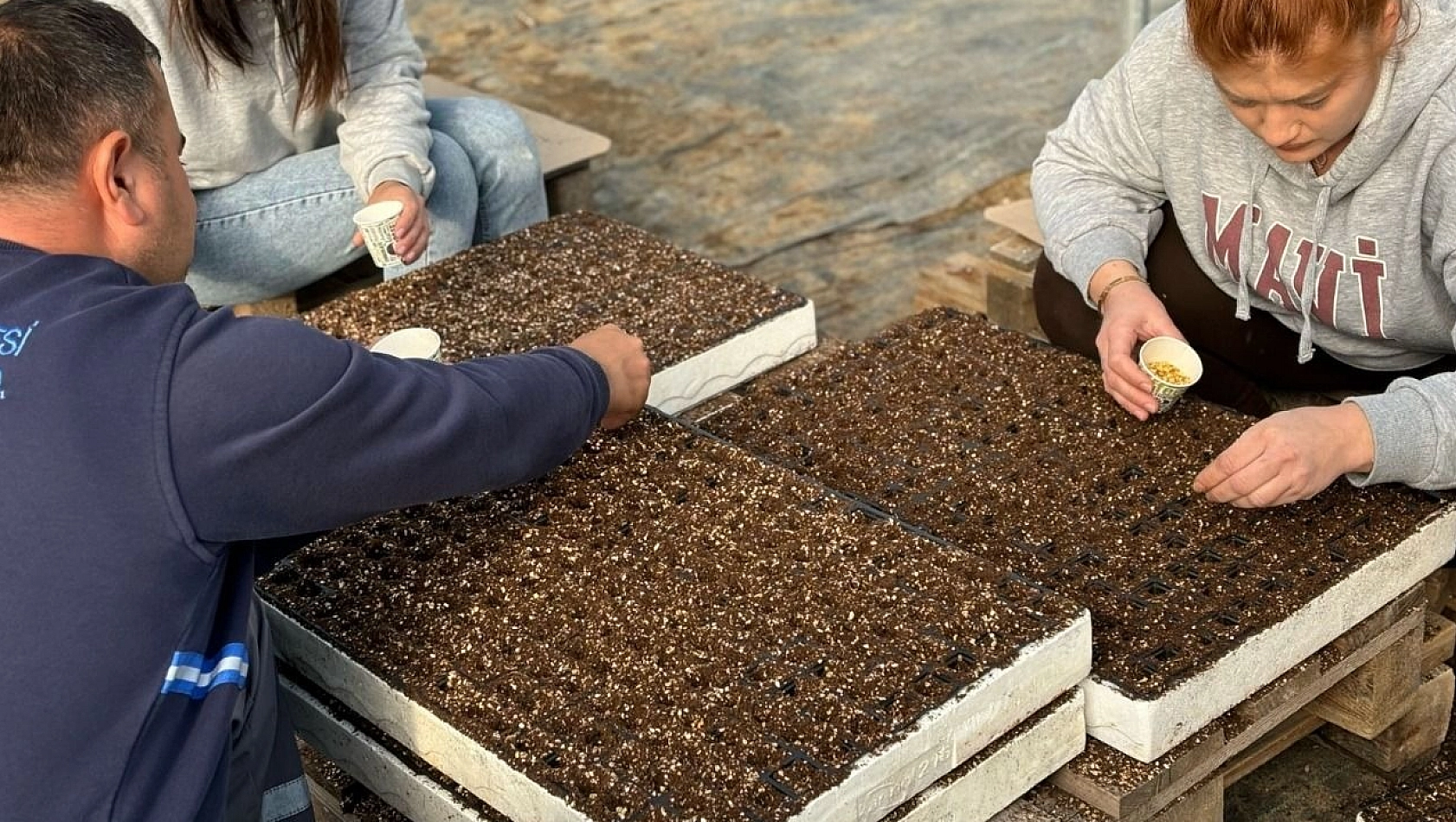 Malatya'da fide için tohumlar ekildi