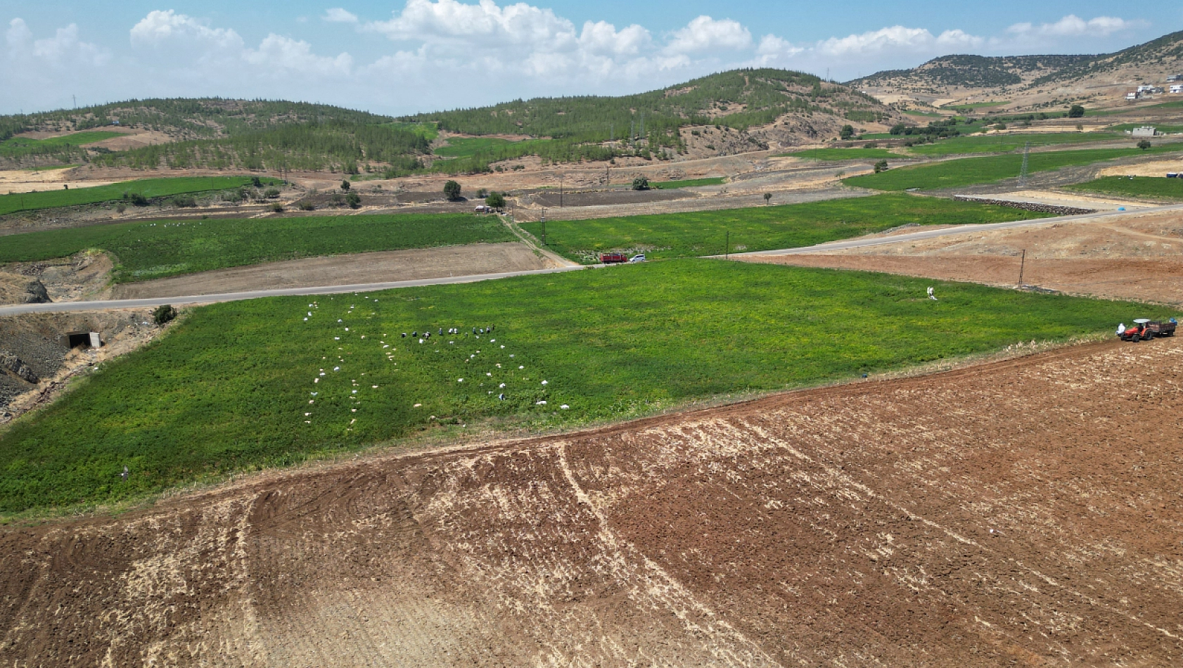 Yılın En Acı Hasadı Başladı..! Diyarbakır, Şanlıurfa, Malatya, Elazığ'ın İhtiyaçlarını Karşılıyor...