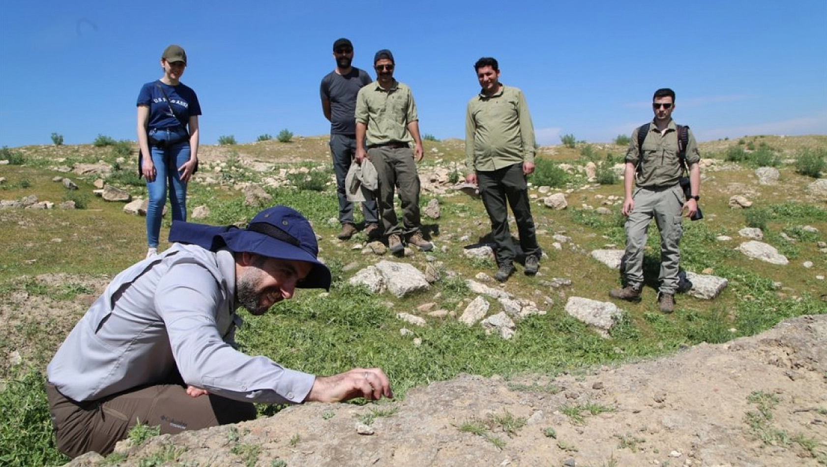 Harran kertenkelesi için çalışıyorlar