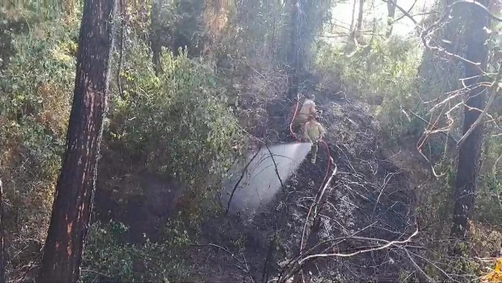 Hatay'da kontrol altına alındı.