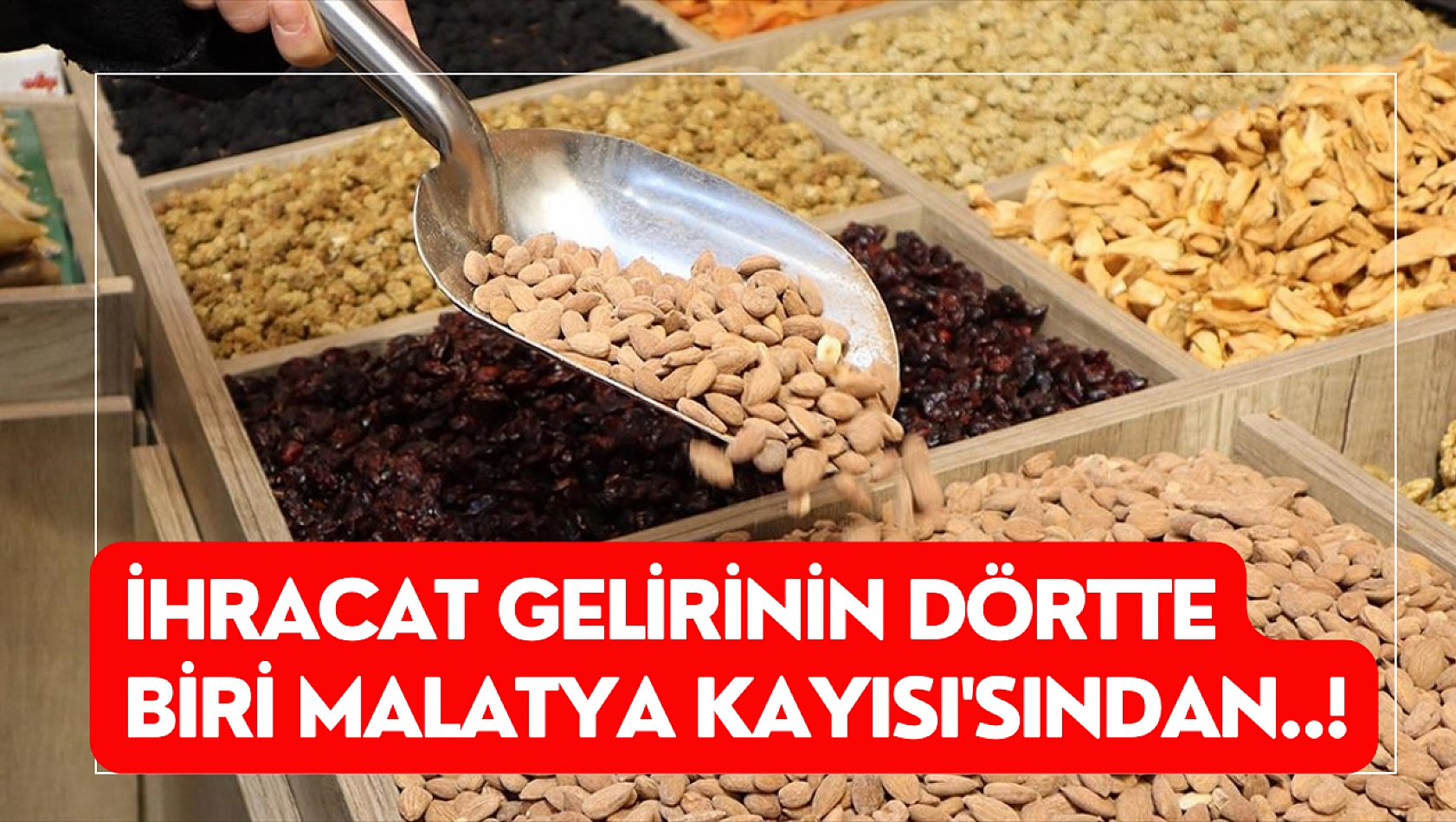 İhracat gelirinin dörtte biri Malatya Kayısı'sından..!