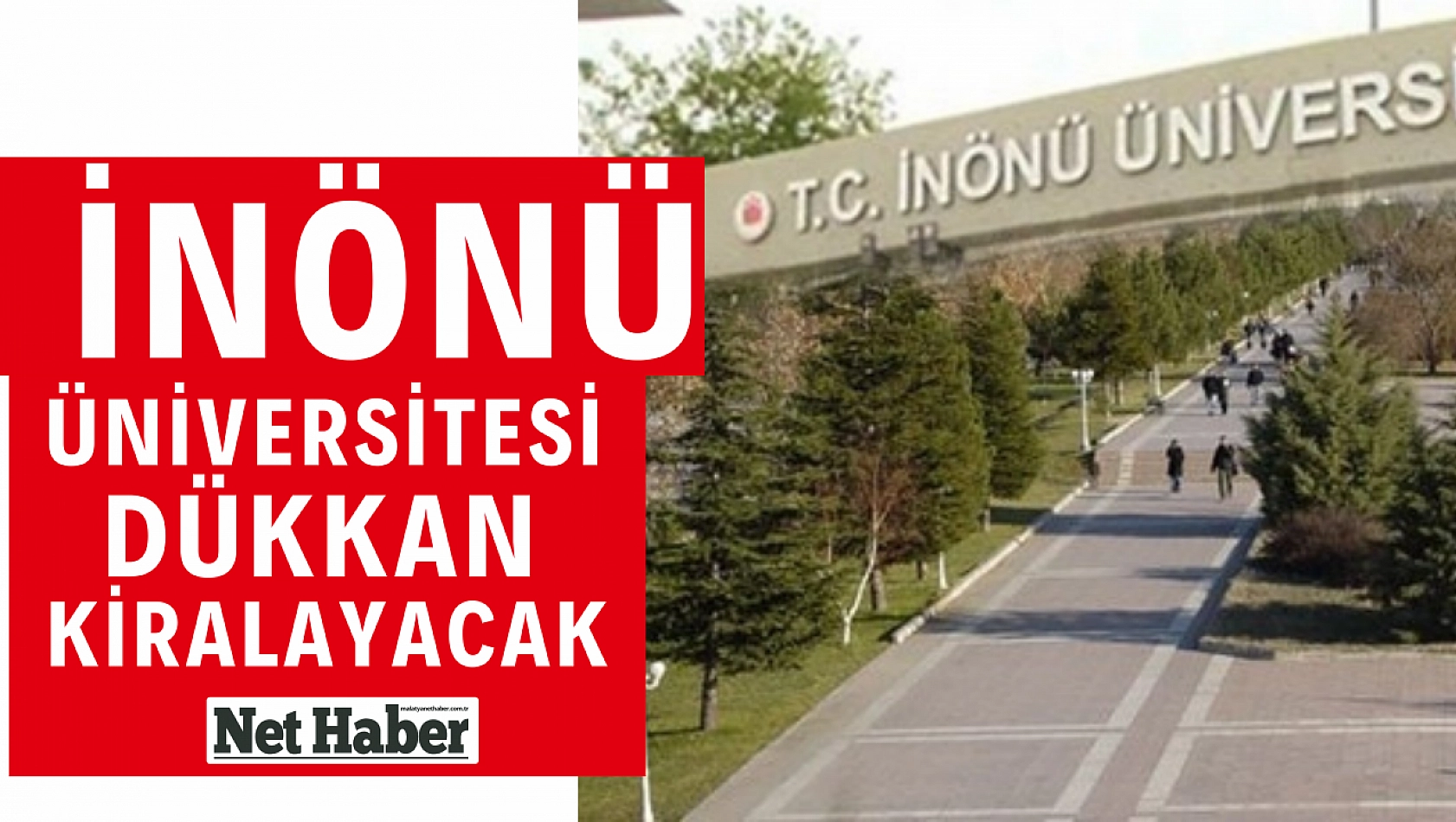 İnönü Üniversitesi dükkan kiralayacak