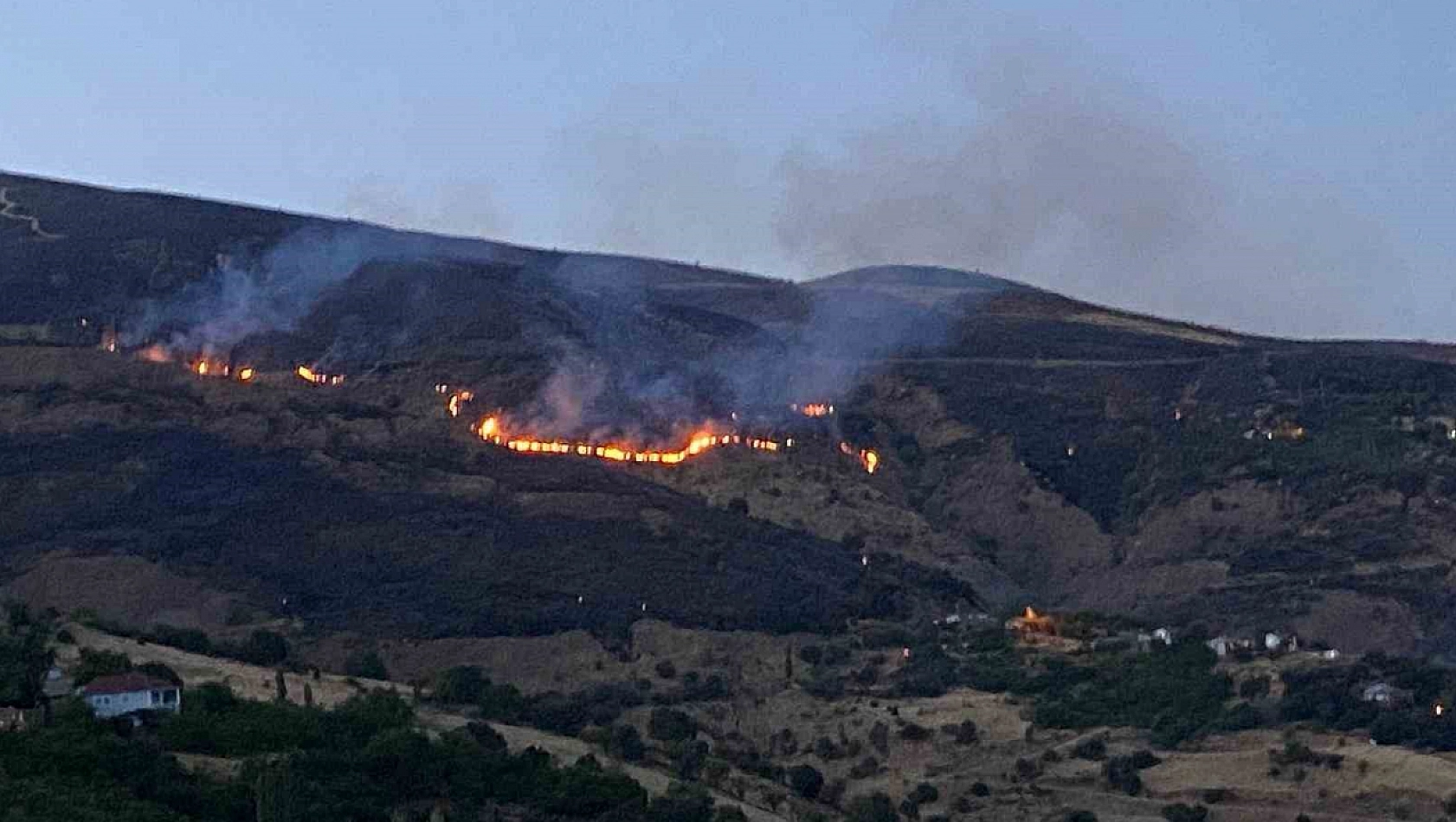 Yangından kurtarılan kaplumbağaya su verildi