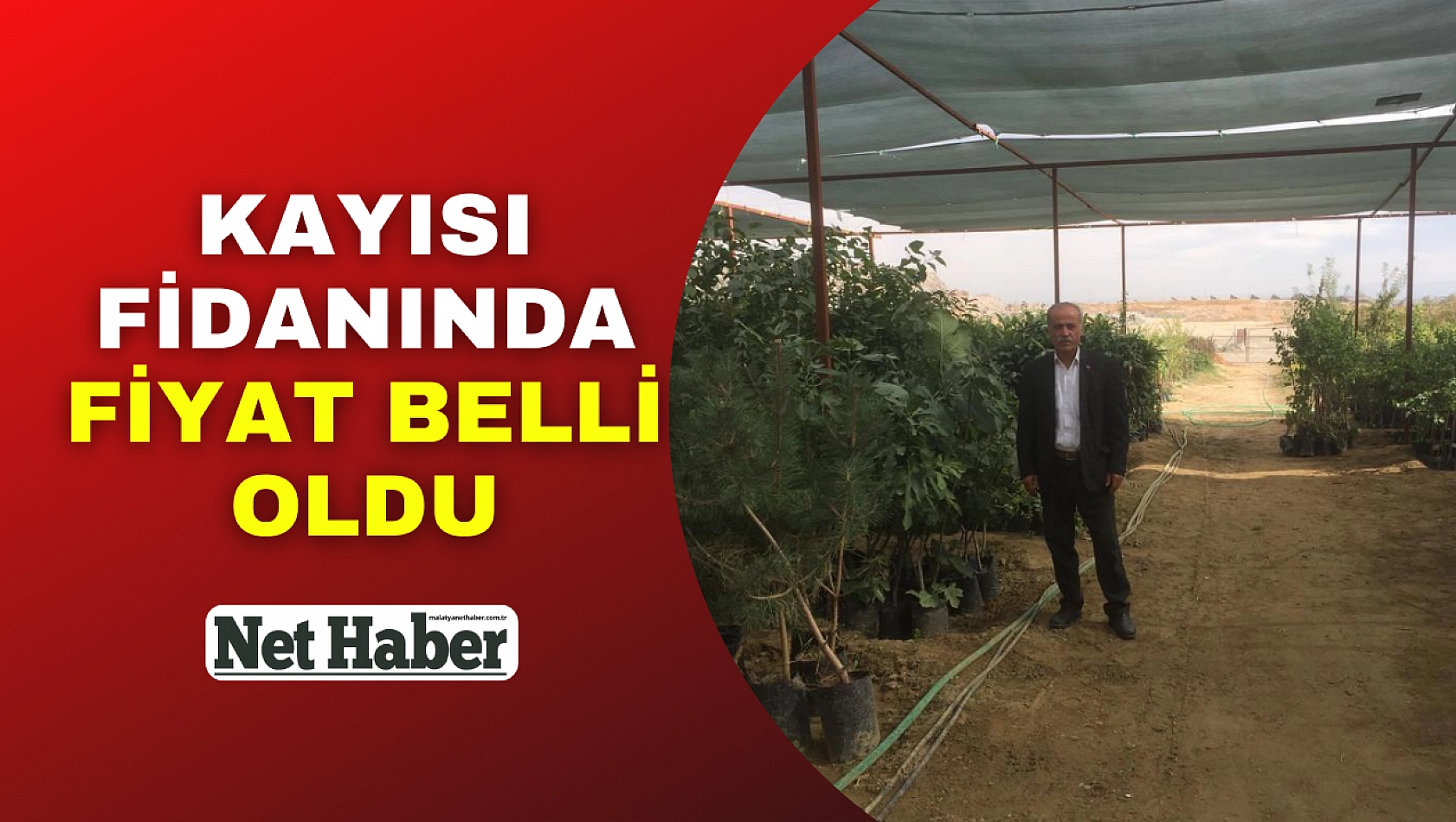 Kayısı fidanında fiyat belli oldu