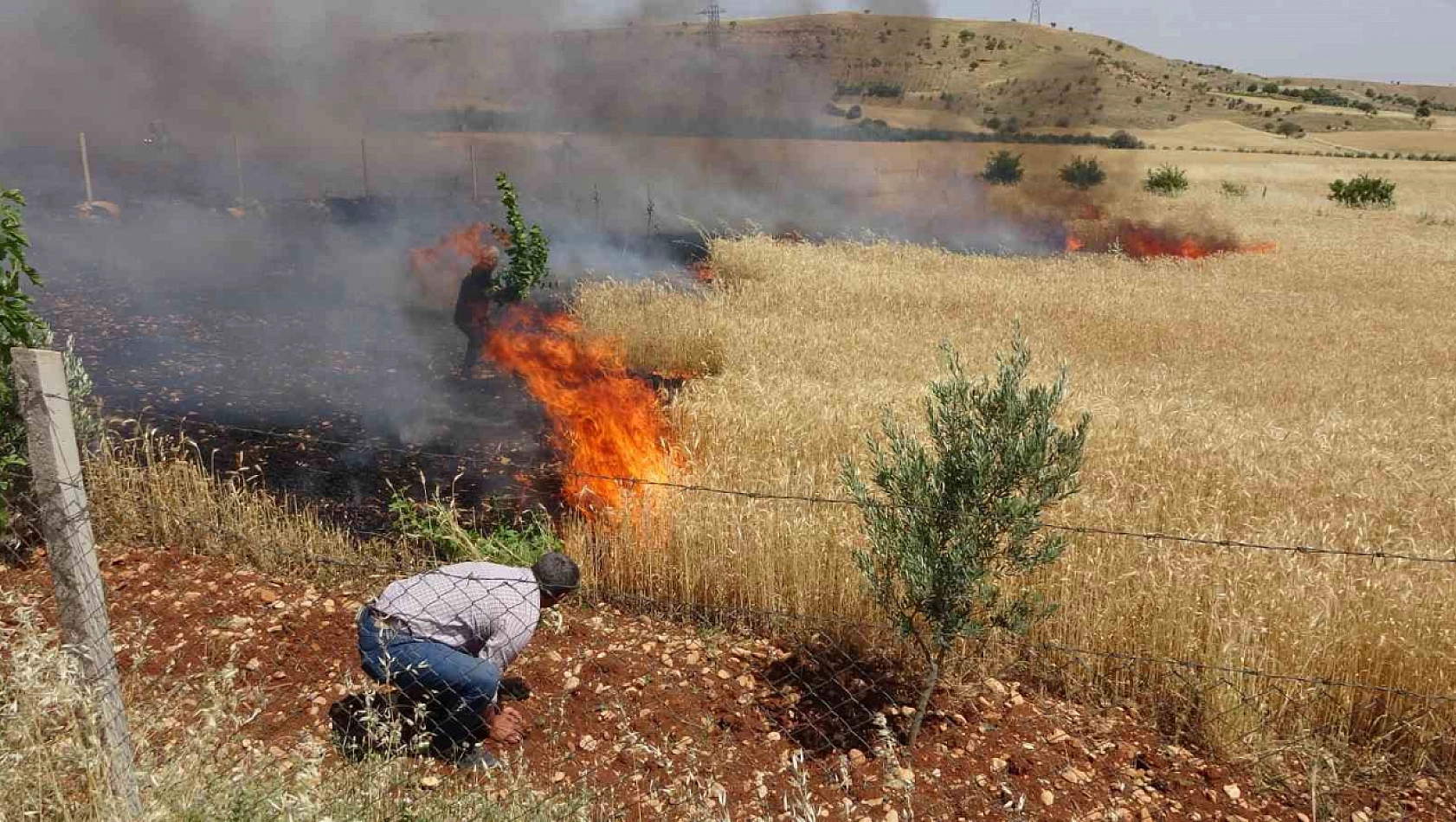 Adıyaman'da kaza oldu, buğday tarlaları cayır cayır yandı