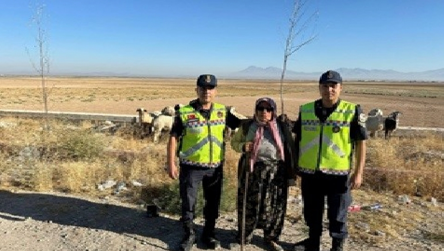 Kaybolan Hayvanları Jandarma Buldu