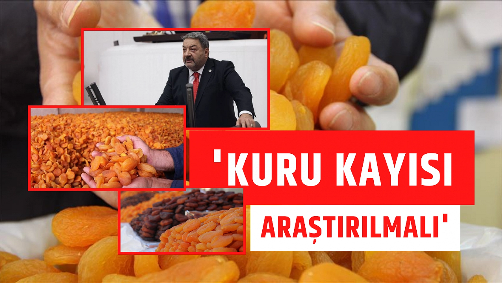 'Kuru Kayısı araştırılmalı'