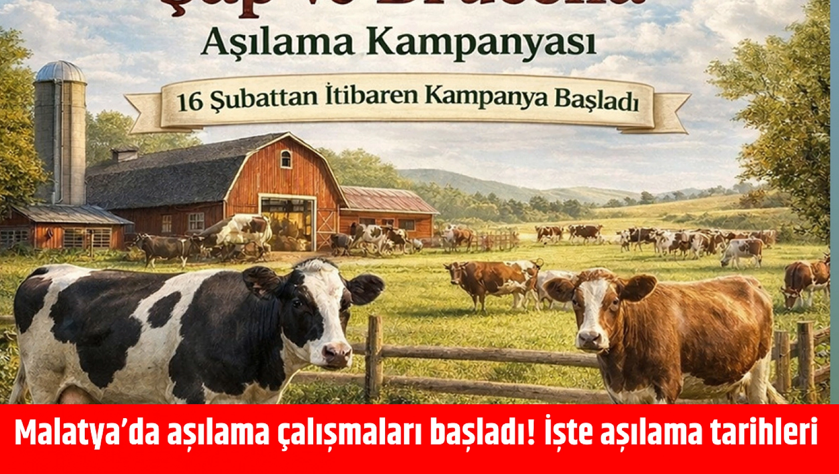 Malatya'da aşılama çalışmaları başladı! İşte aşılama tarihleri
