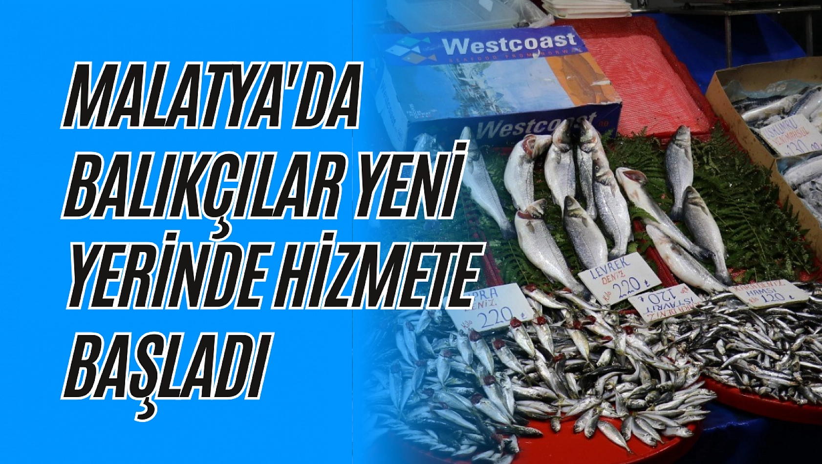 Malatya'da balıkçılar yeni yerinde hizmete başladı