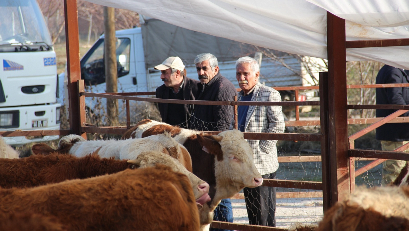 Malatya'da besilik dana ve ekipman dağıtıldı