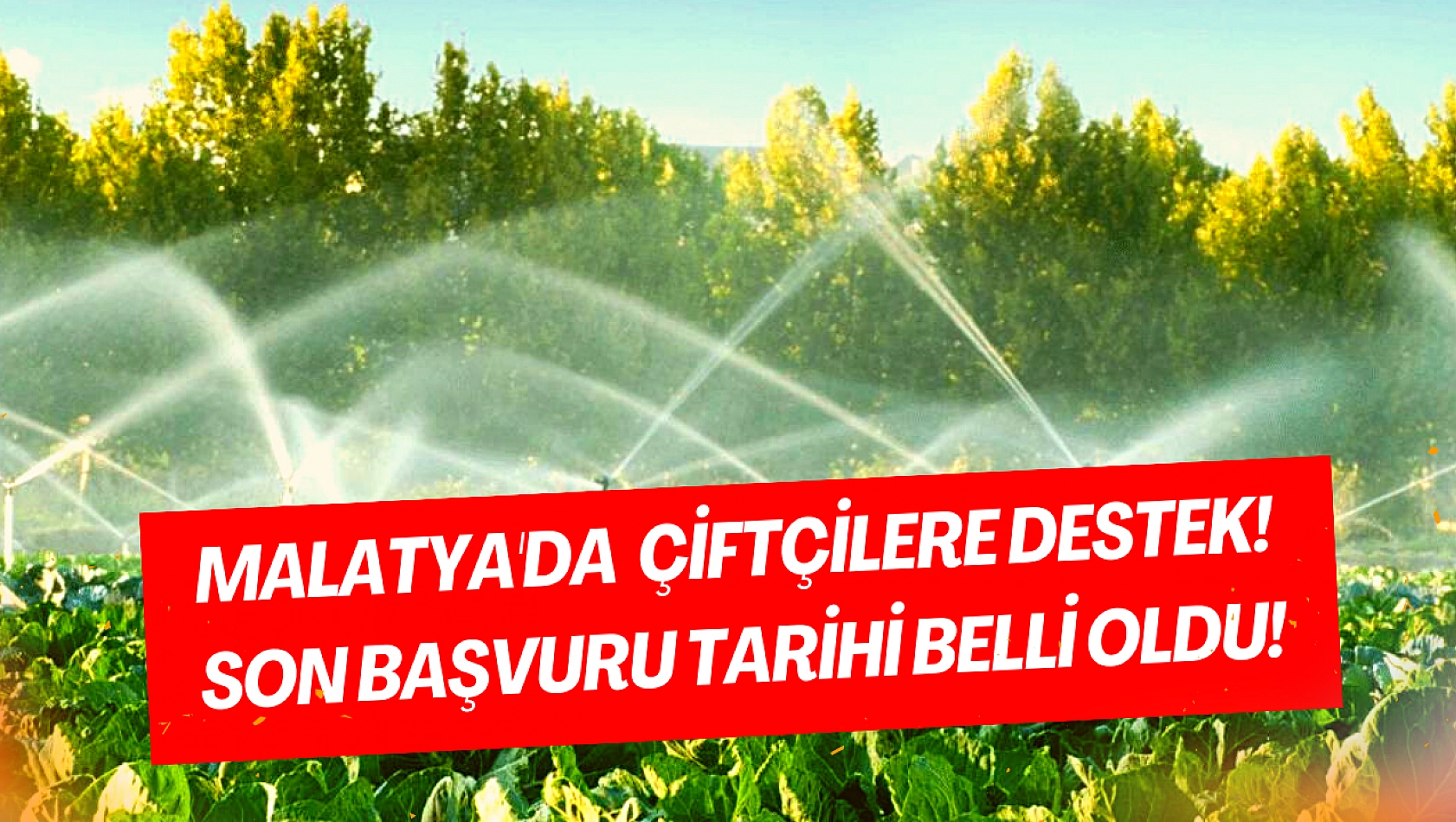 Malatya'da çiftçilere destek! Son başvuruyu kaçırmayın!