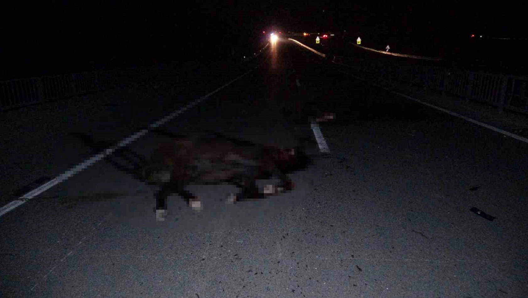 Milyonluk taylar karayolunda telef oldu