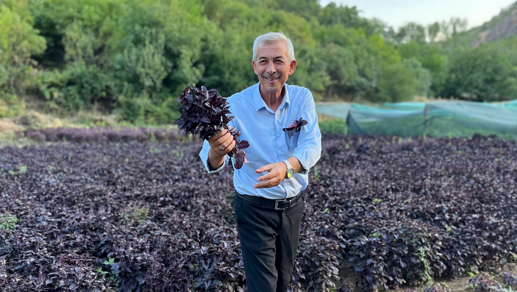 Malatya'da Hasat 3. Kez Yüzleri Güldürüyor...