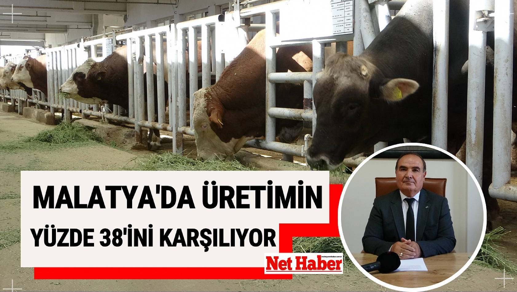 Malatya üretimin yüzde 38'ini karşılıyor