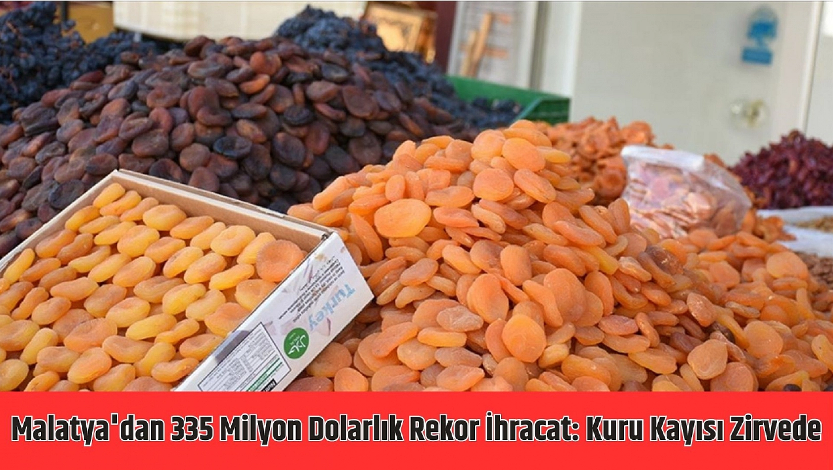 Malatya'dan 335 milyon dolarlık rekor ihracat: Kuru kayısı zirvede