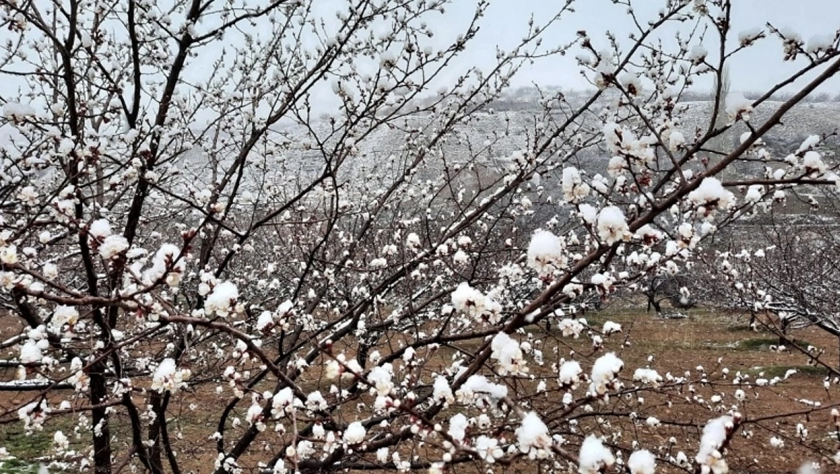 Malatya için Kar ve Yağış Uyarısı!