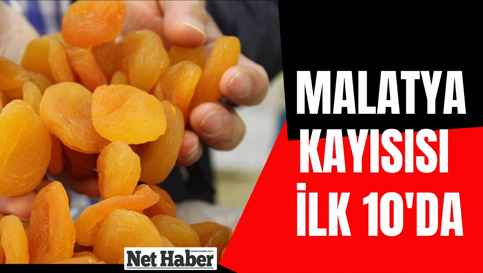 Malatya kayısısı ilk 10'da