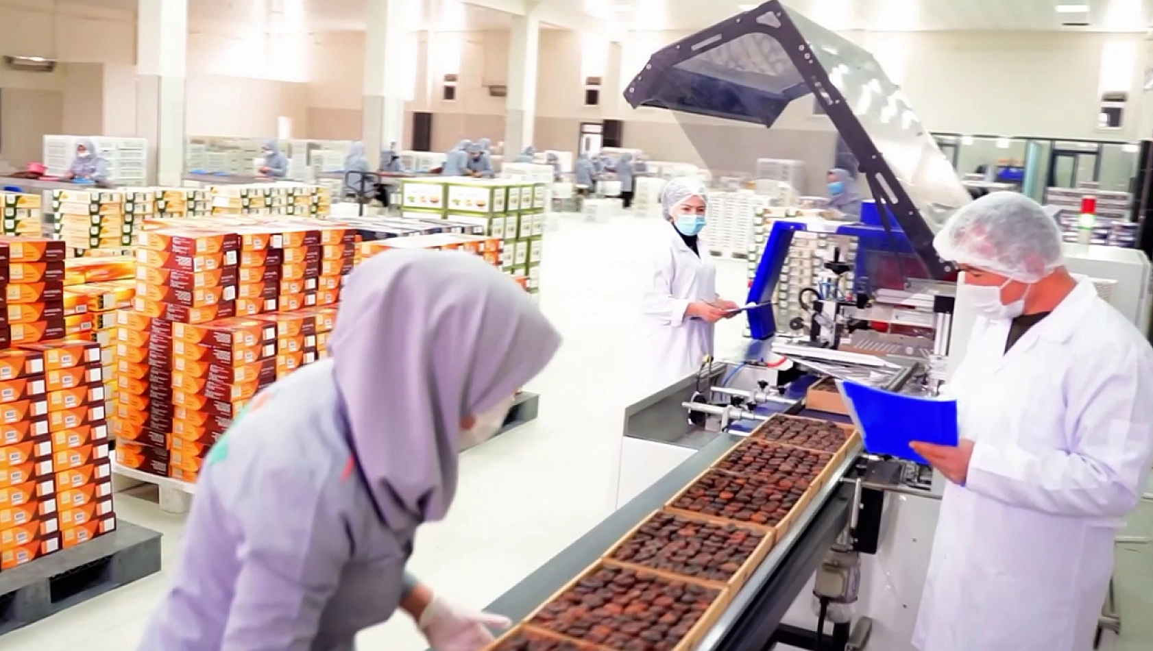 Malatya kayısısından 247 milyon dolarlık gelir