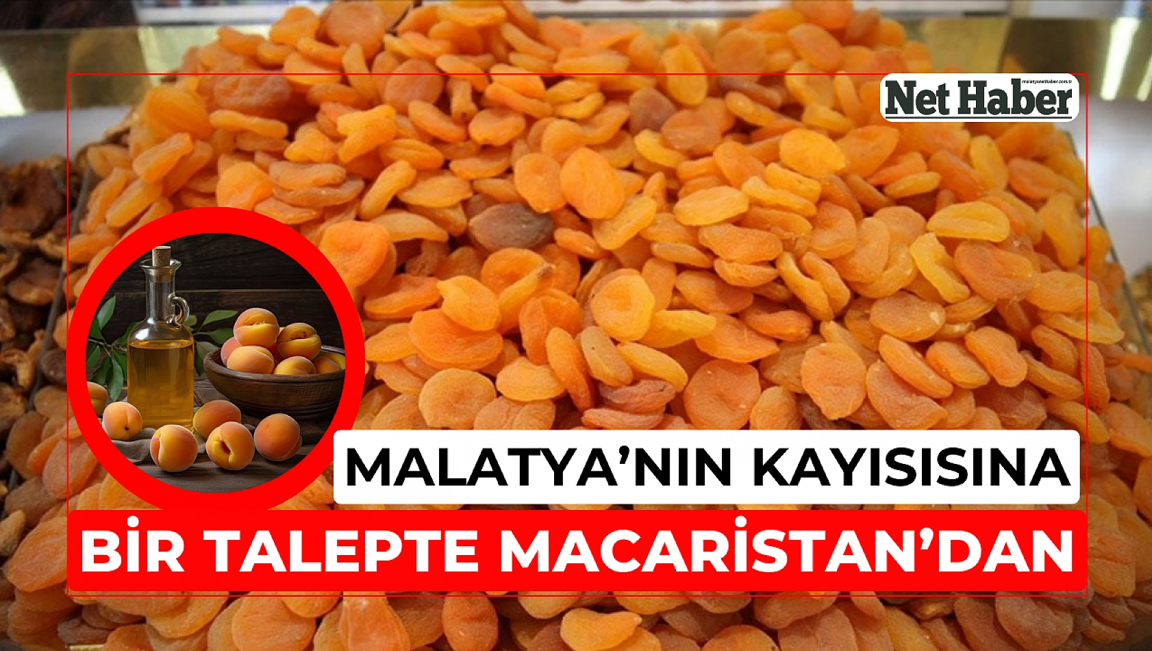 Malatya'nın kayısısına bir talepte Macaristan'dan