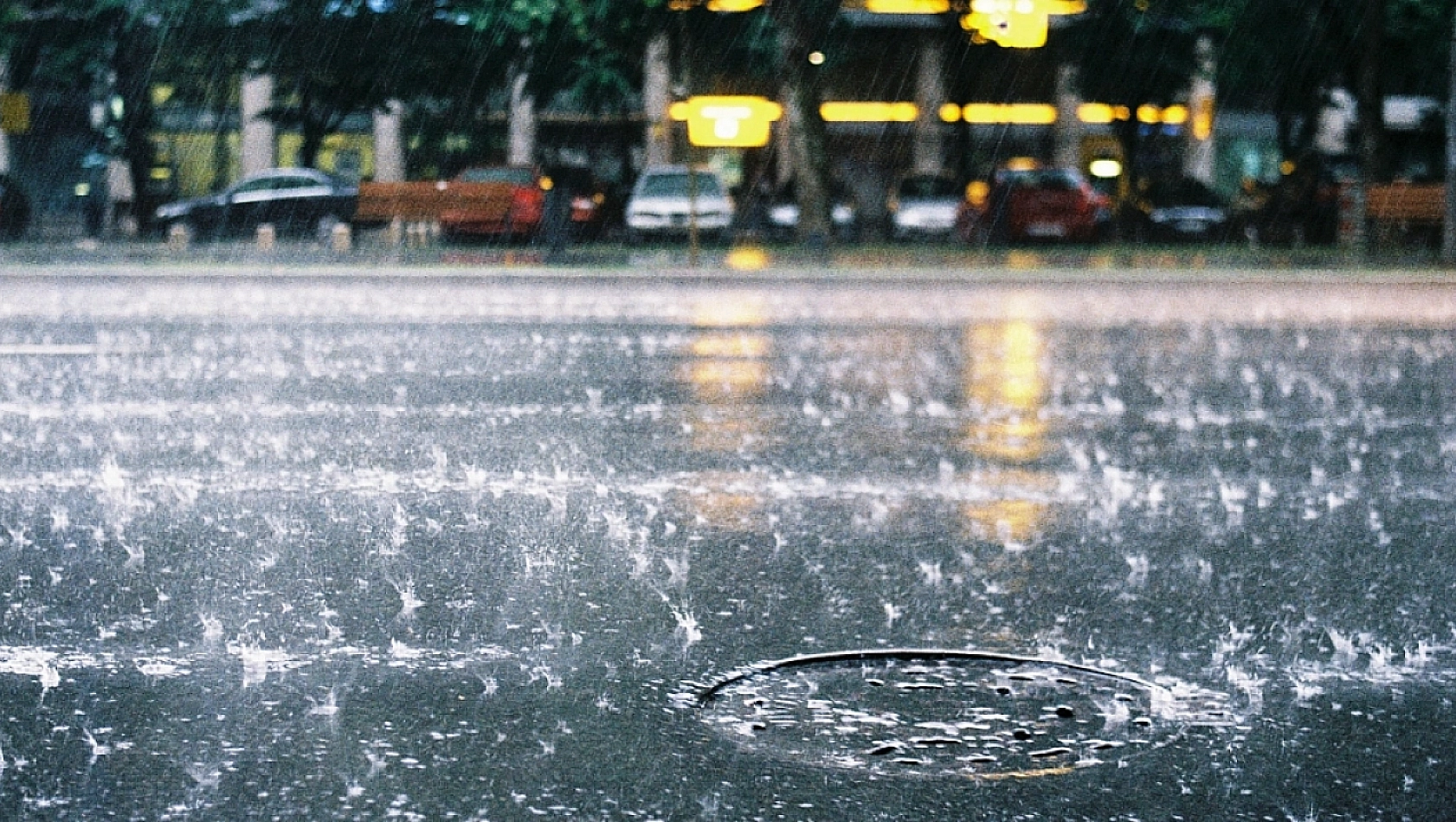 Malatyalı Üreticiler Dikkat! Meteoroloji Uyardı... Kayısılar Zarar Görebilir!