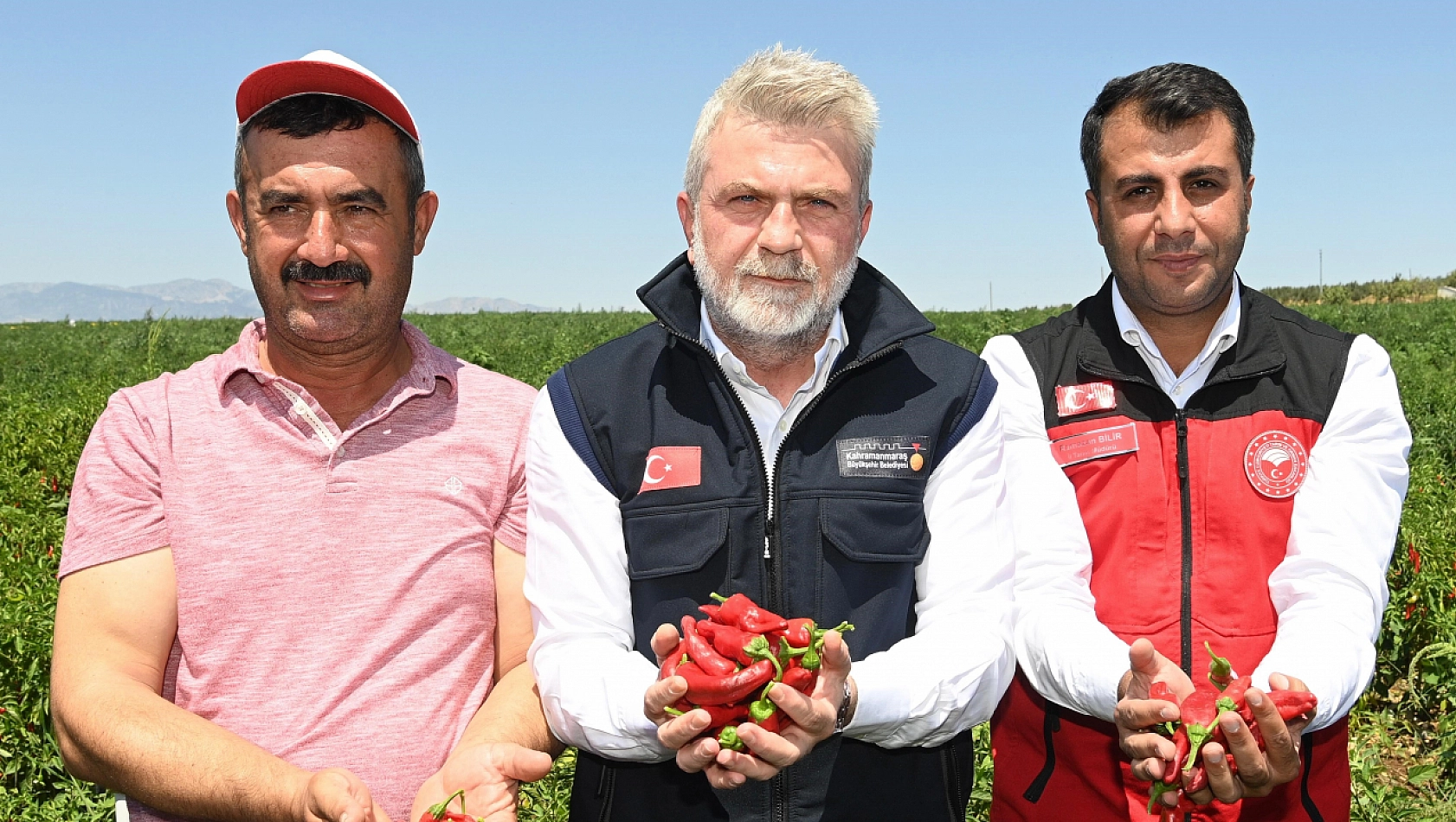 Maraş Biberinde Hasat Dönemi Başladı