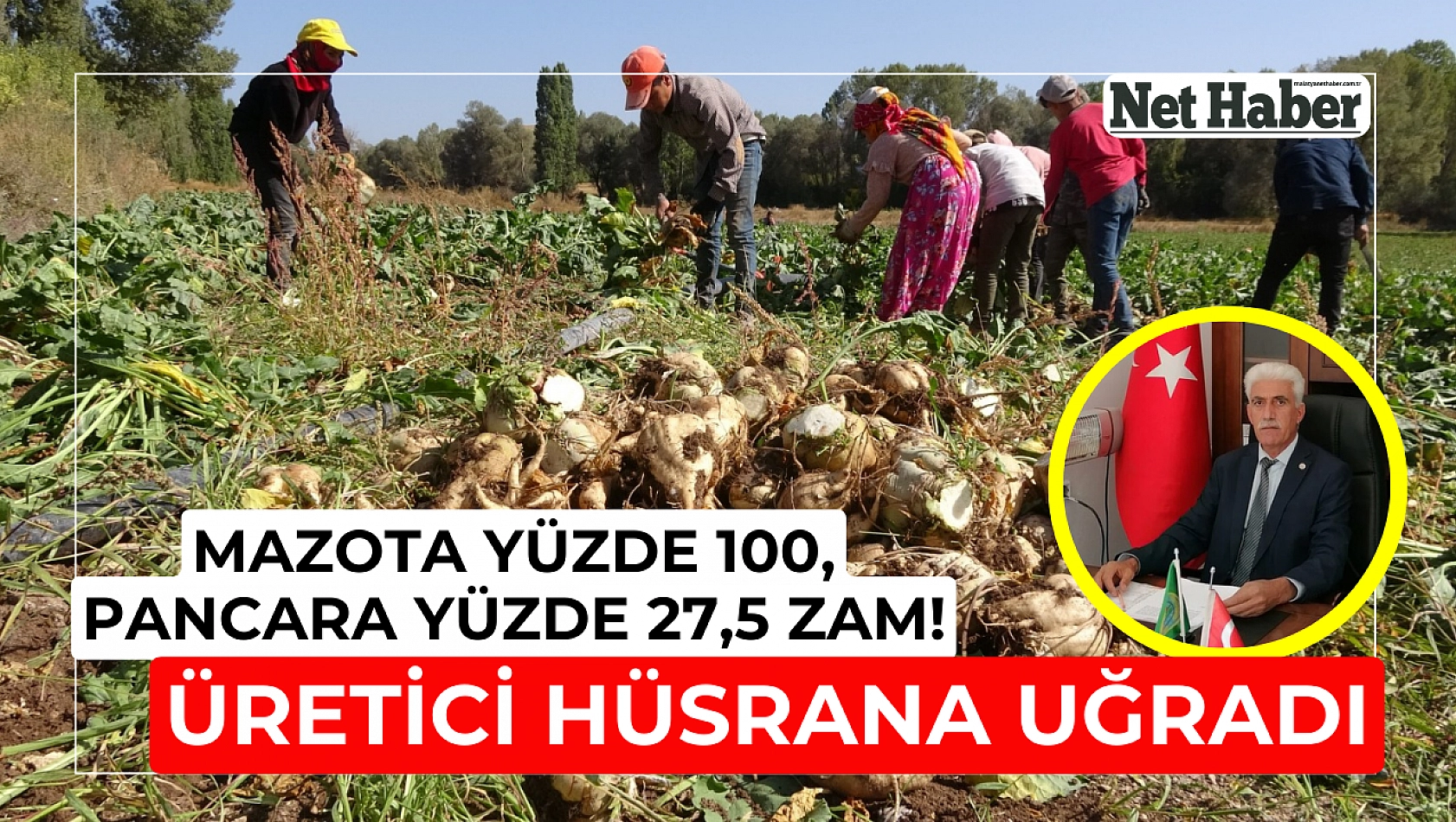 Mazota yüzde 100, pancara yüzde 27,5 zam! Üretici hüsrana uğradı