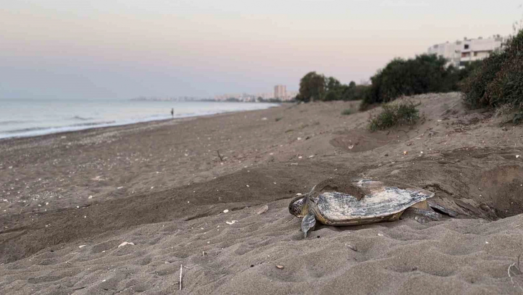 Mersin, sezonluk misafirlerini ağırlıyor