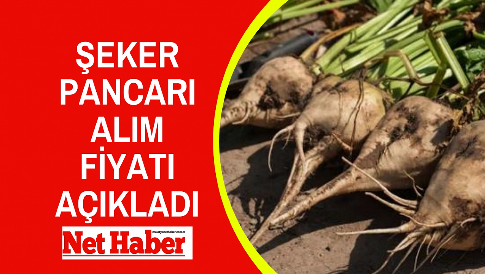 Şeker pancarı alım fiyatı açıkladı