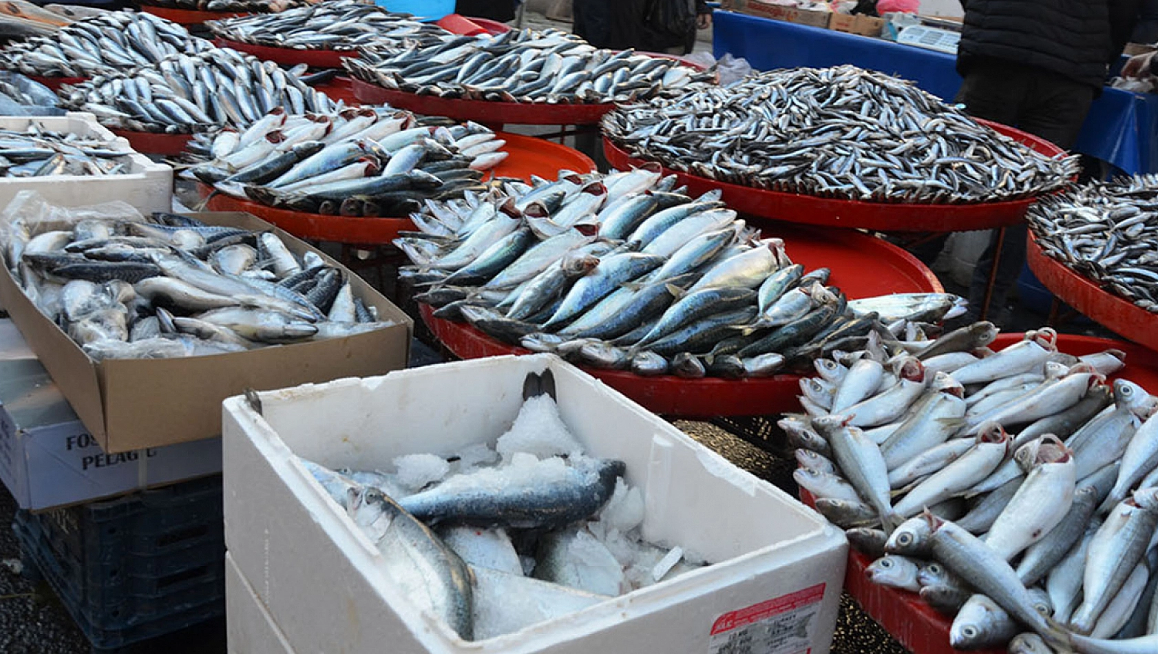 Soğuk hava balık tezgahlarına da vurdu
