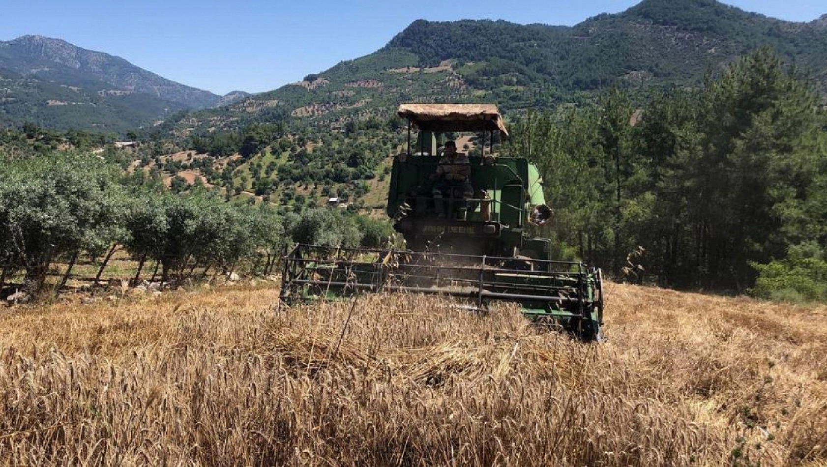 Son hasat yapıldı