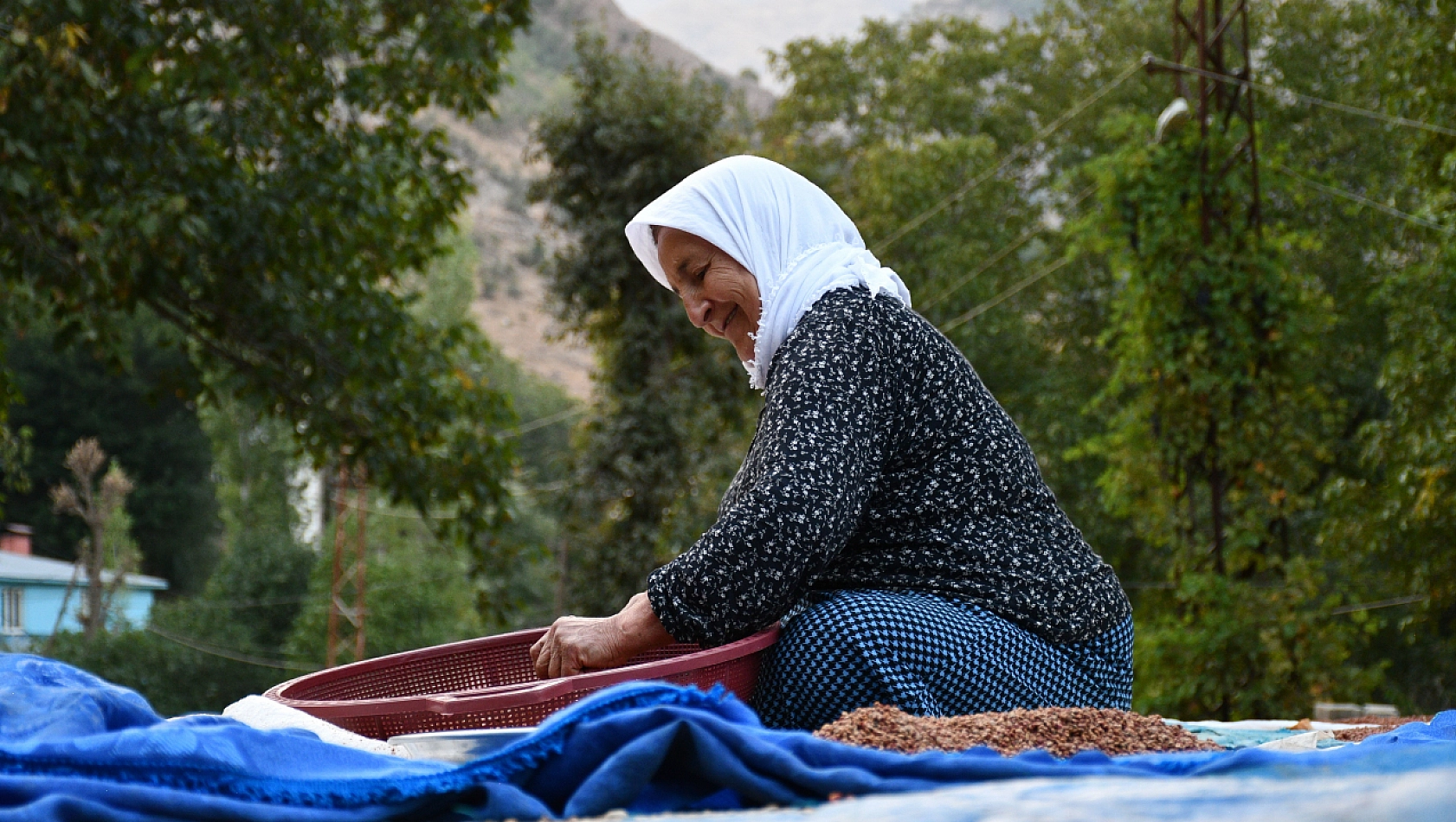  Sumak Geçim Kaynağı Oldu