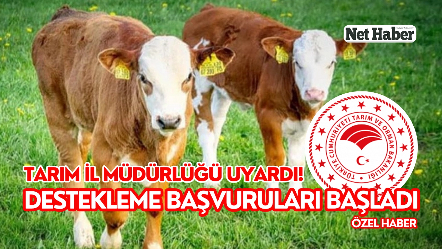 Tarım il müdürlüğü uyardı! Destekleme başvuruları başladı