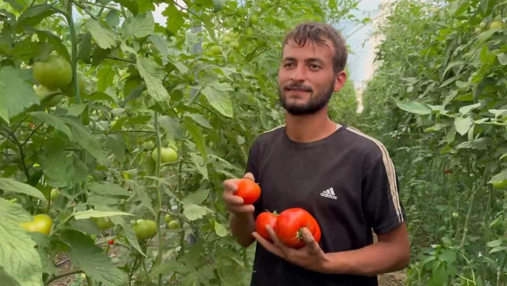 Tarım işçiliğinden patronluğa