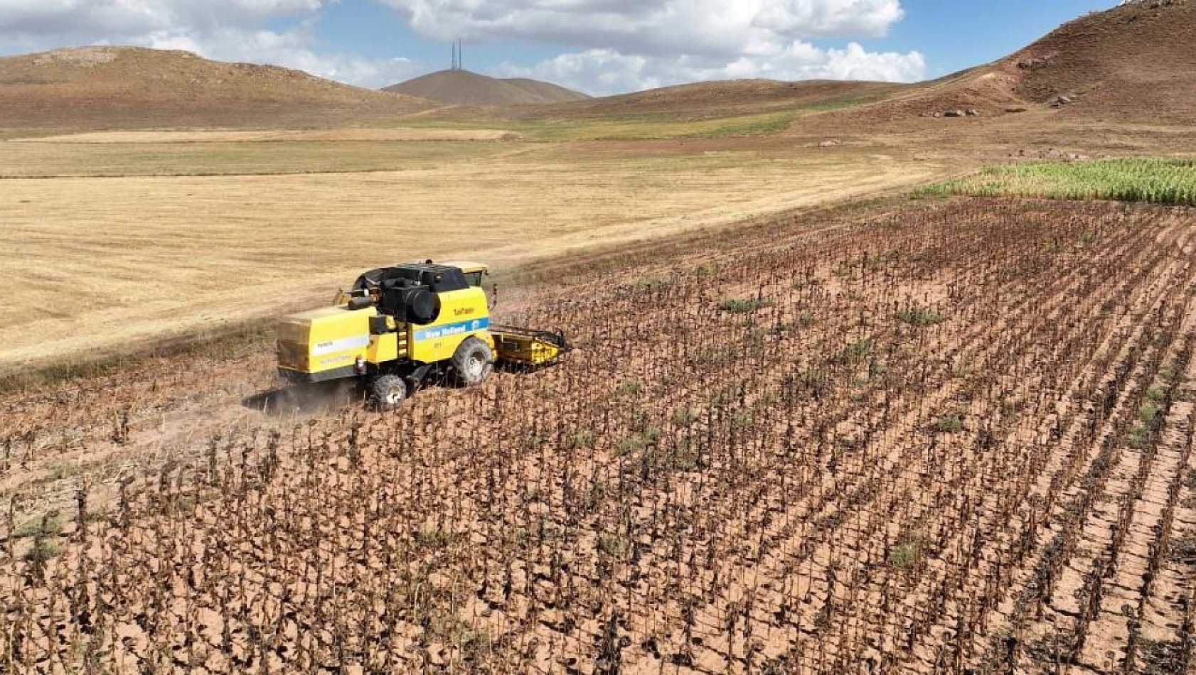 Tarımsal girdi fiyat endeksinde rekor artış