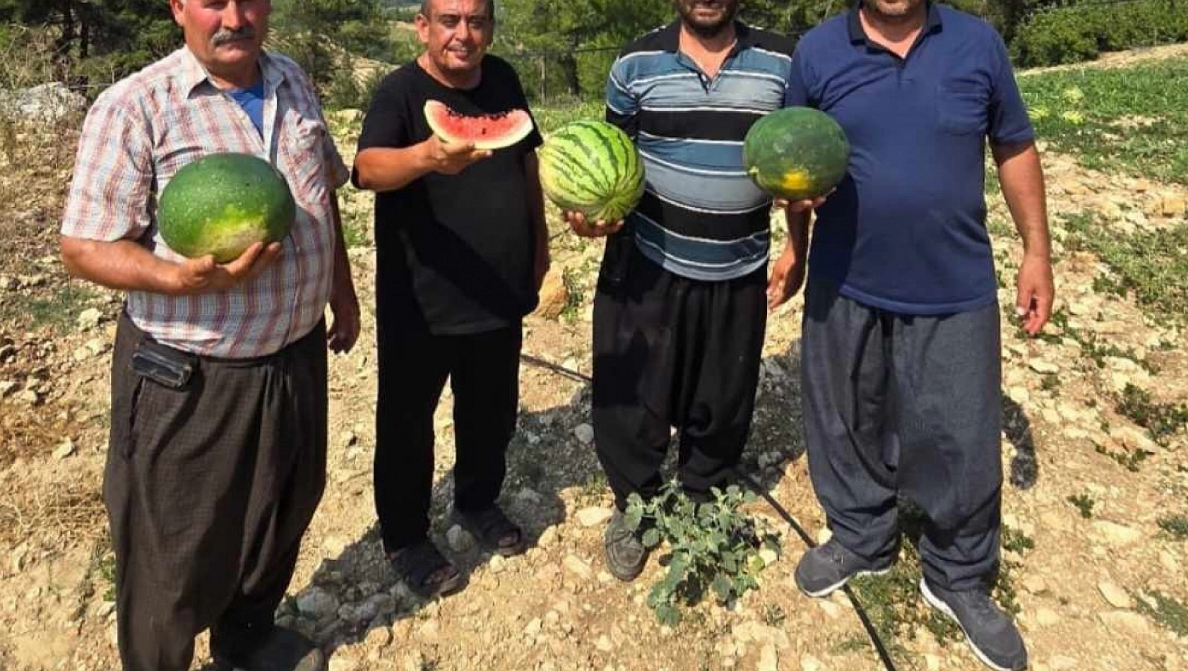 Tarsus'ta ata tohumuna dönüş çağrısı! Yoksa yok olacak