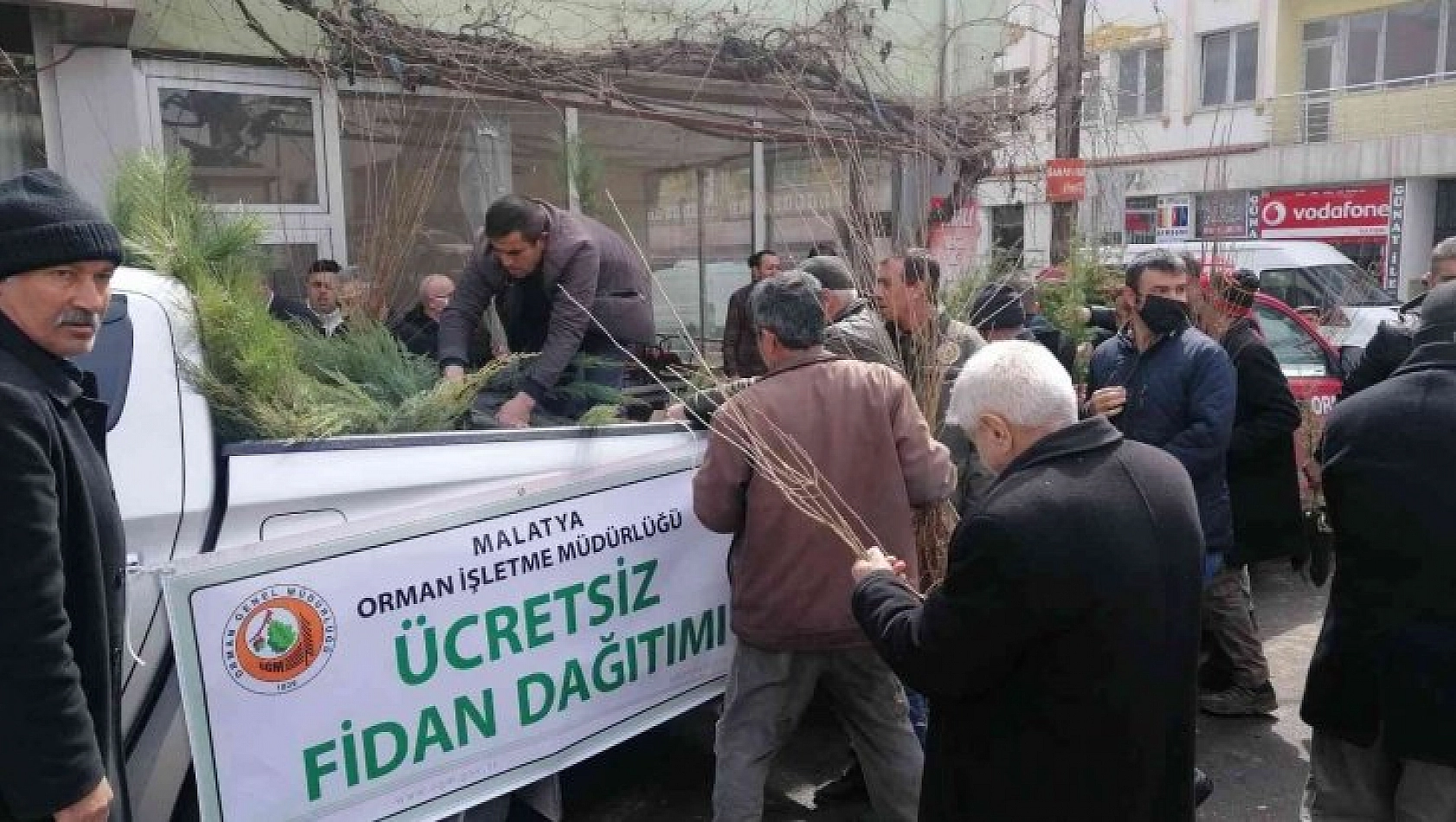 Ücretsiz fidana yoğun ilgi