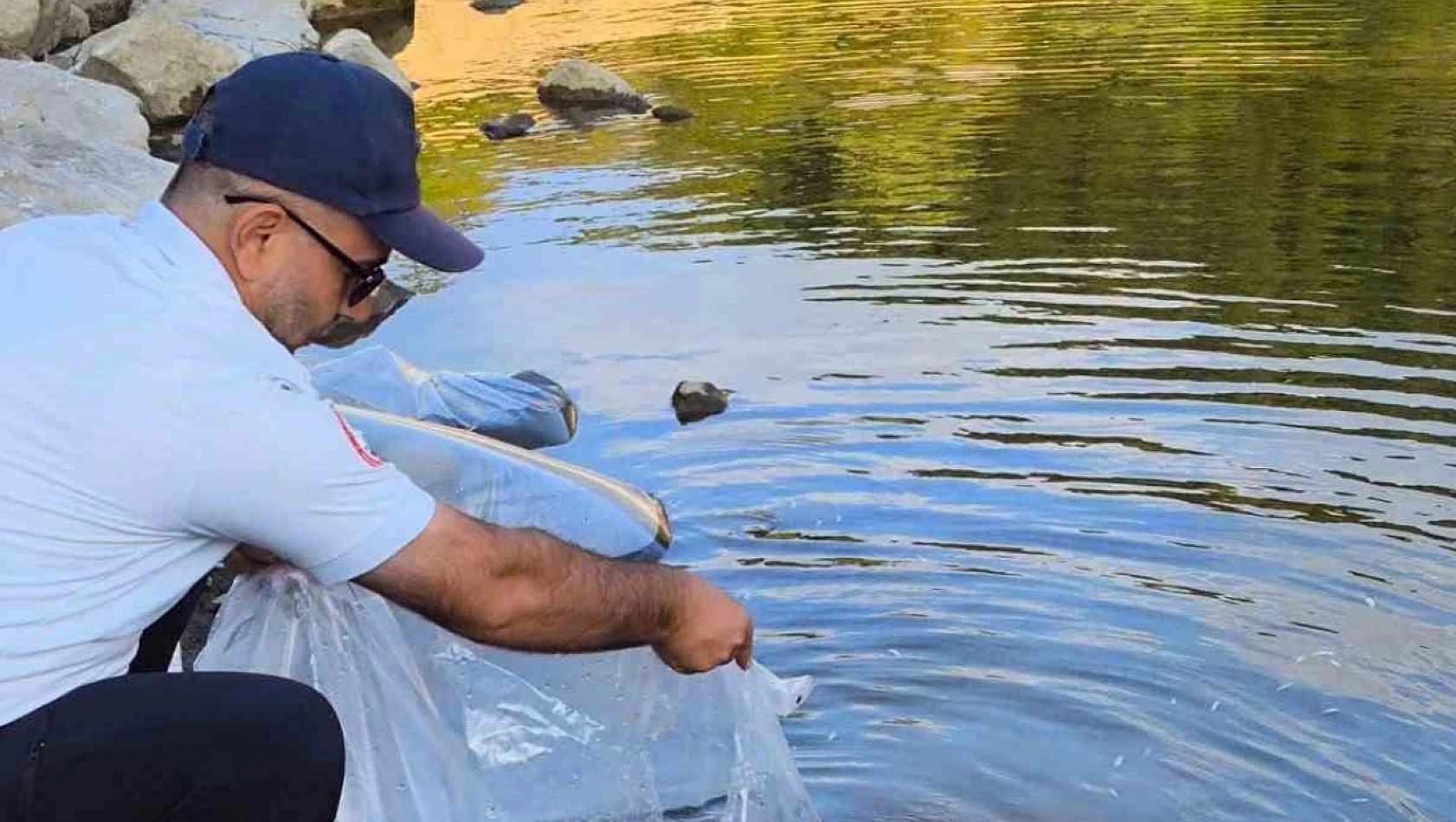 Göletlere 100 bin Yavru Sazan Balığı Bırakıldı