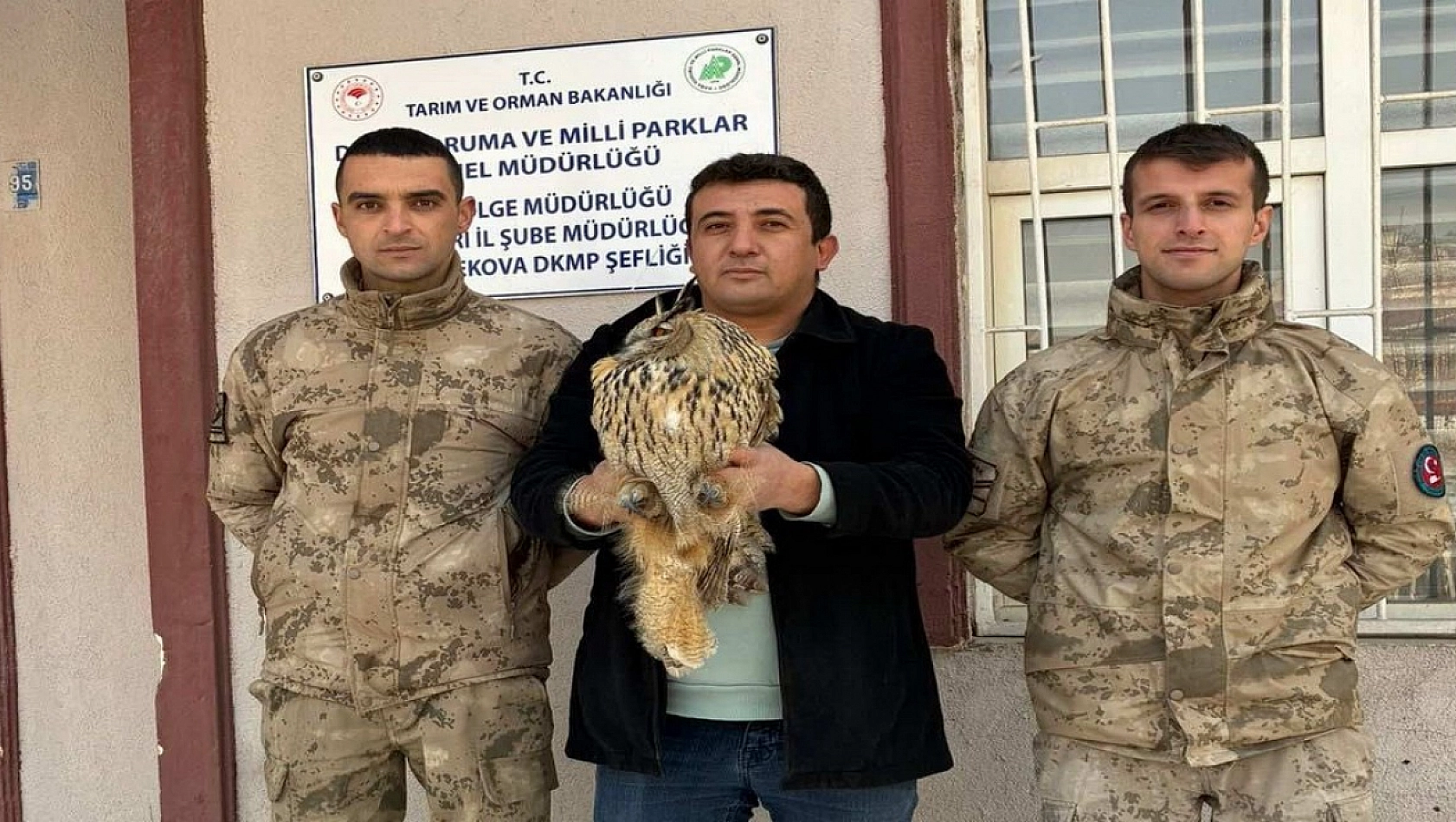 Yaralı Boynuzlu Baykuş Tedavi Altına Alındı