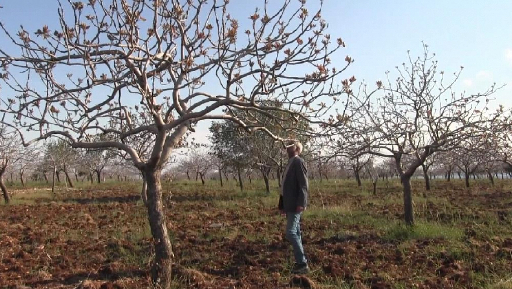 Yoğun kar yağışları çiftçinin yüzünü güldürdü