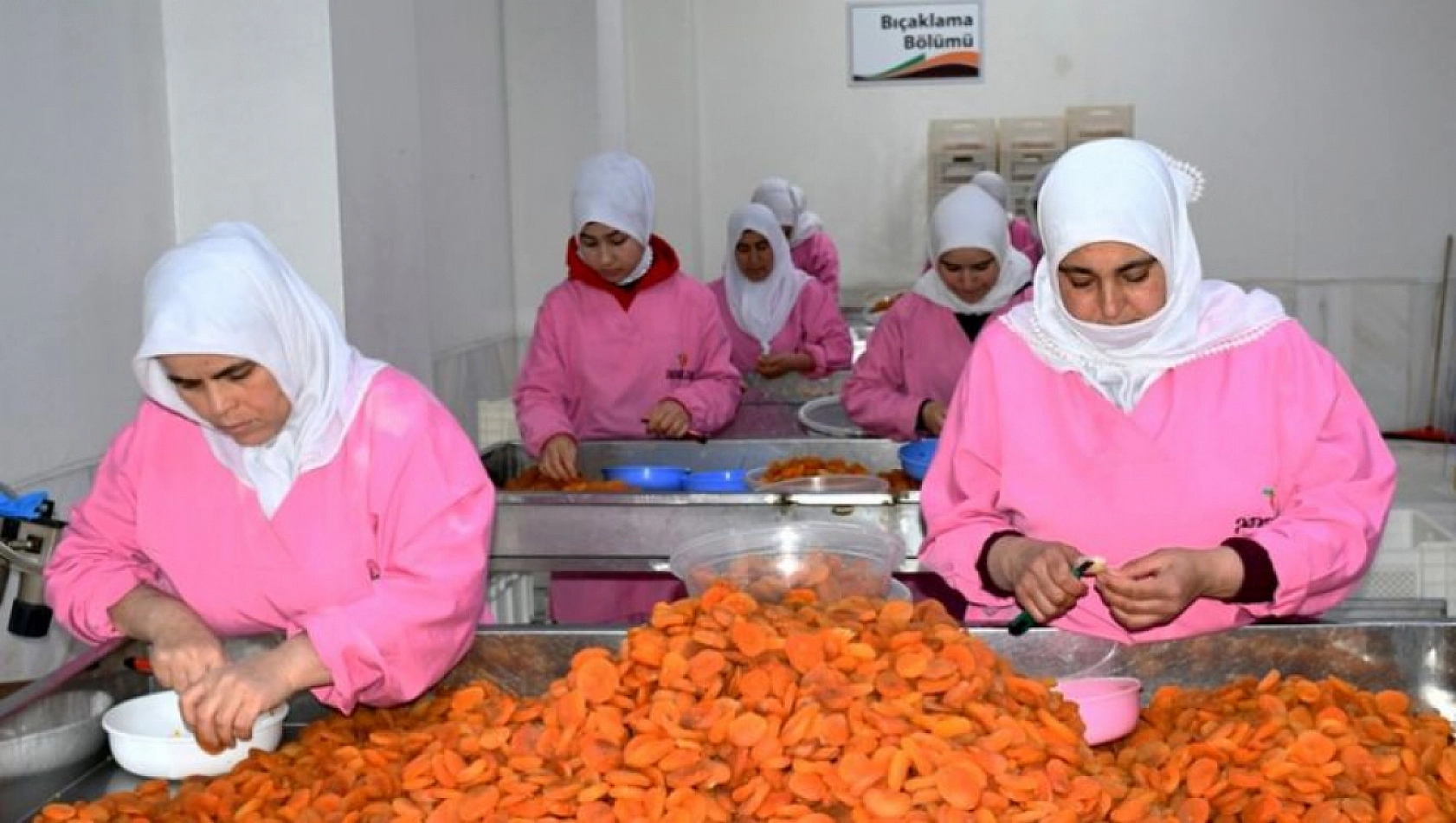 Malatya'ya Müjde! TMO Alım Yapacak! İşte Detaylar...