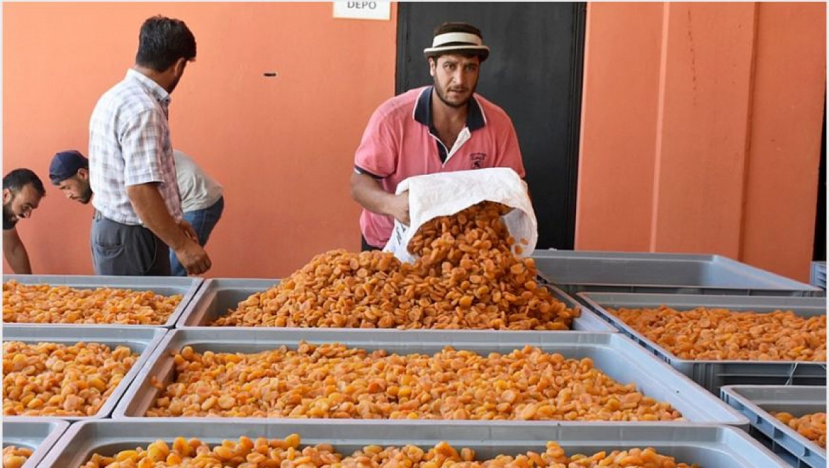 Malatya'da İkincisi Tamamlandı: Kayısıya Değer Katacak!