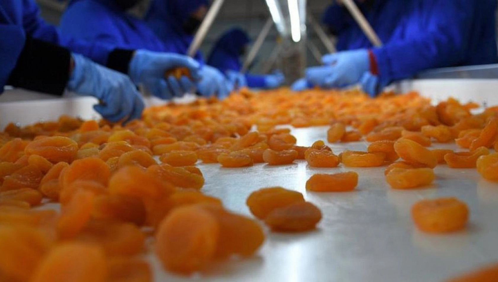 Malatya Artık Sadece Kayısı İle Anılmayacak! 