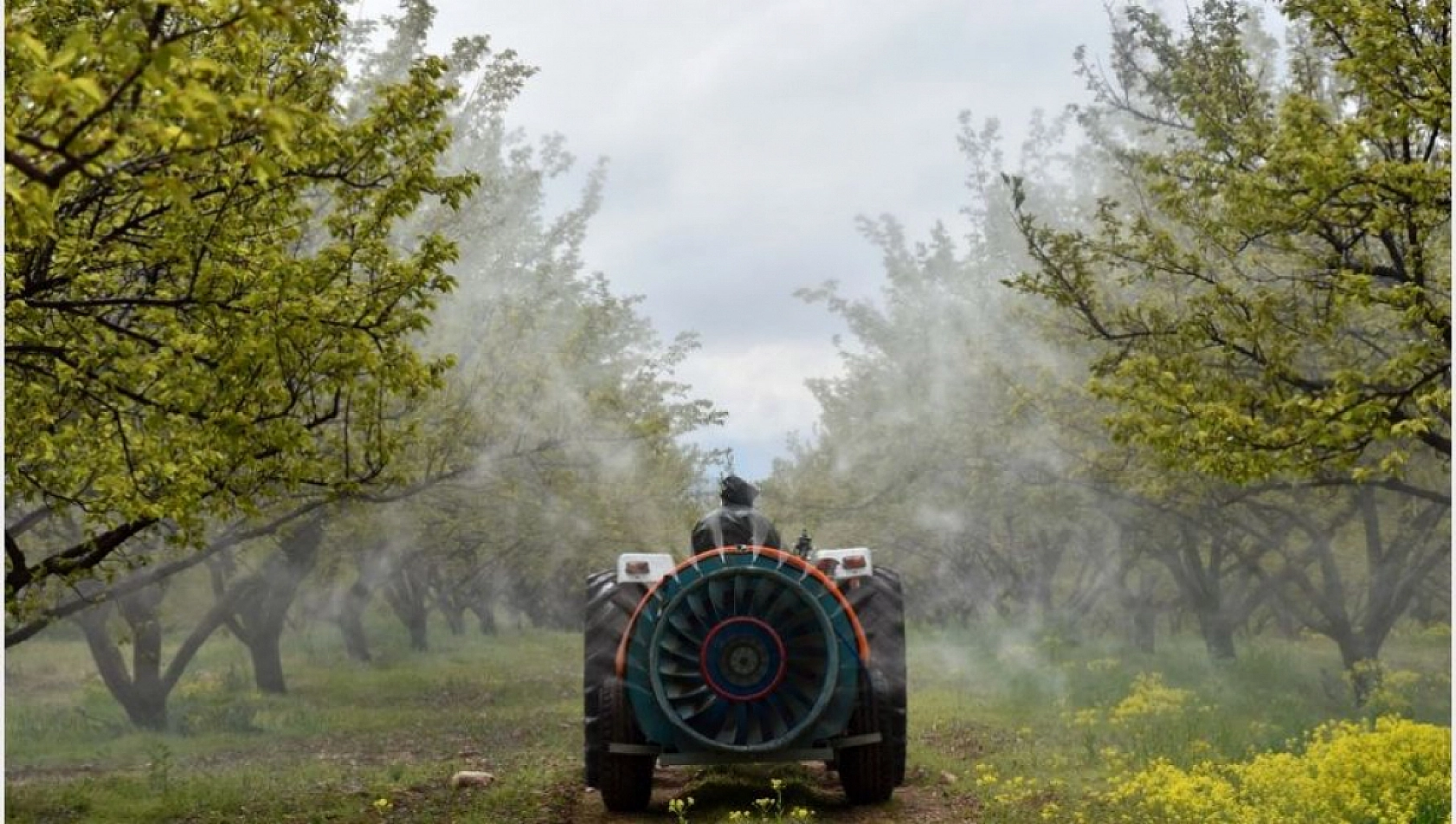 Artık reçetesiz satılamayacak: Pilot illerde Ocak'ta başlıyor, Malatya Temmuz'u bekleyecek