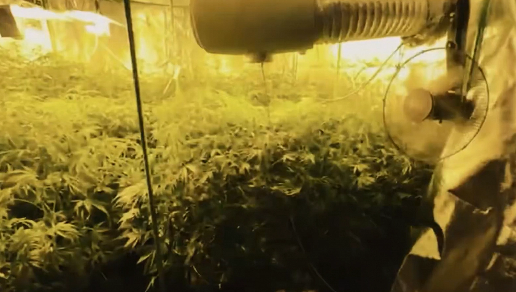 23 ilde uyuşturucu çetelerine büyük darbe: 6 milyon hap ele geçirildi