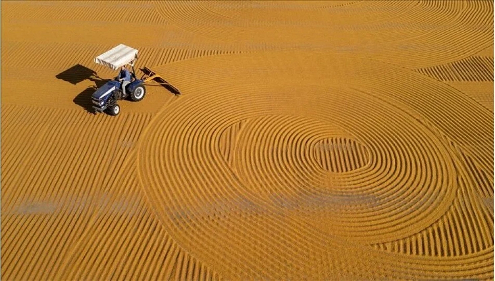 TİGEM Duyurdu: 69 Ziraat Mühendisi Alınacak!